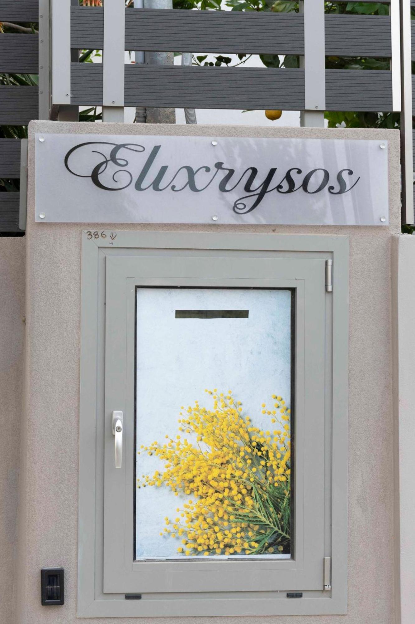 Elixrysos Apartment 2 皮特斯迪亚 外观 照片